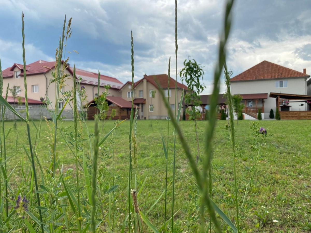 Absolut Residence Haţeg Εξωτερικό φωτογραφία