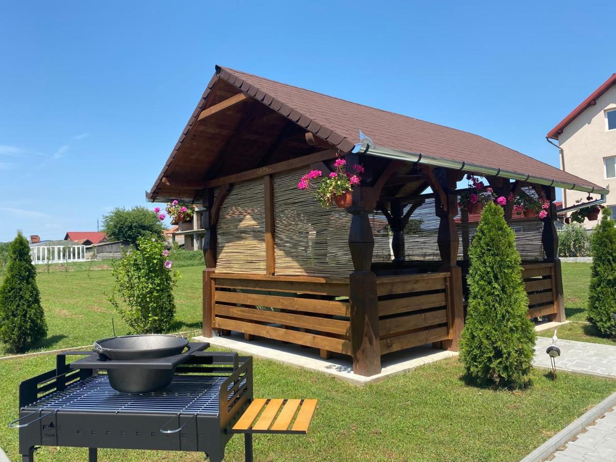 Absolut Residence Haţeg Εξωτερικό φωτογραφία