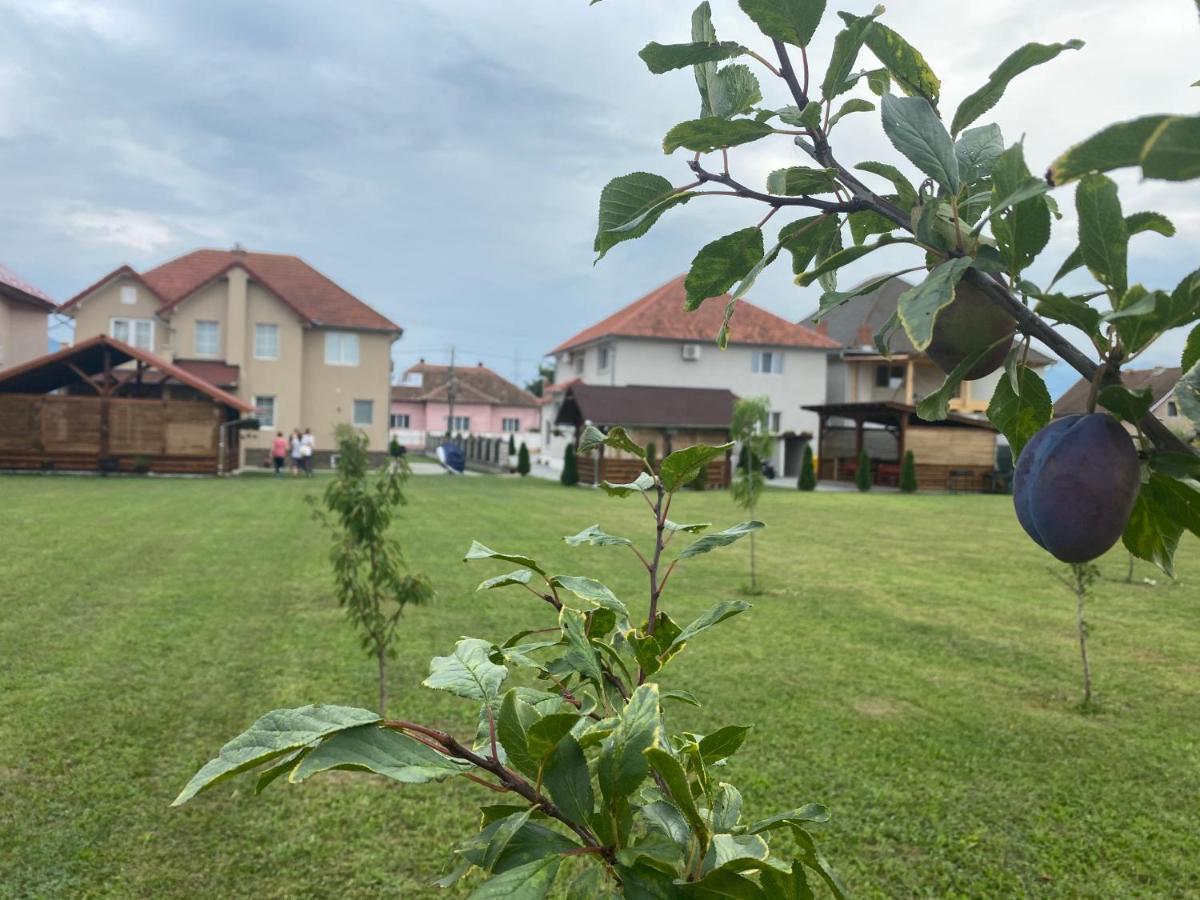 Absolut Residence Haţeg Εξωτερικό φωτογραφία