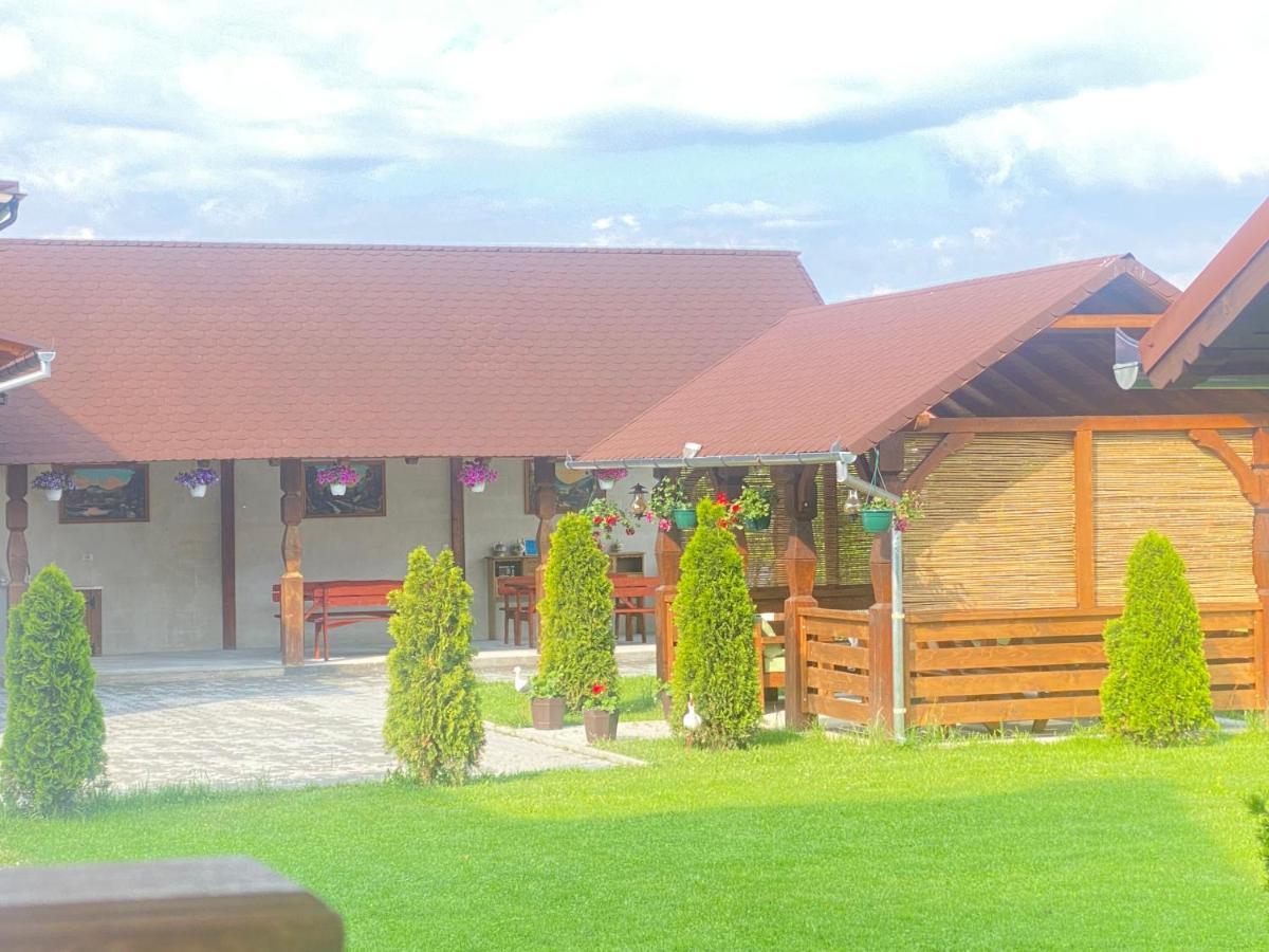 Absolut Residence Haţeg Εξωτερικό φωτογραφία