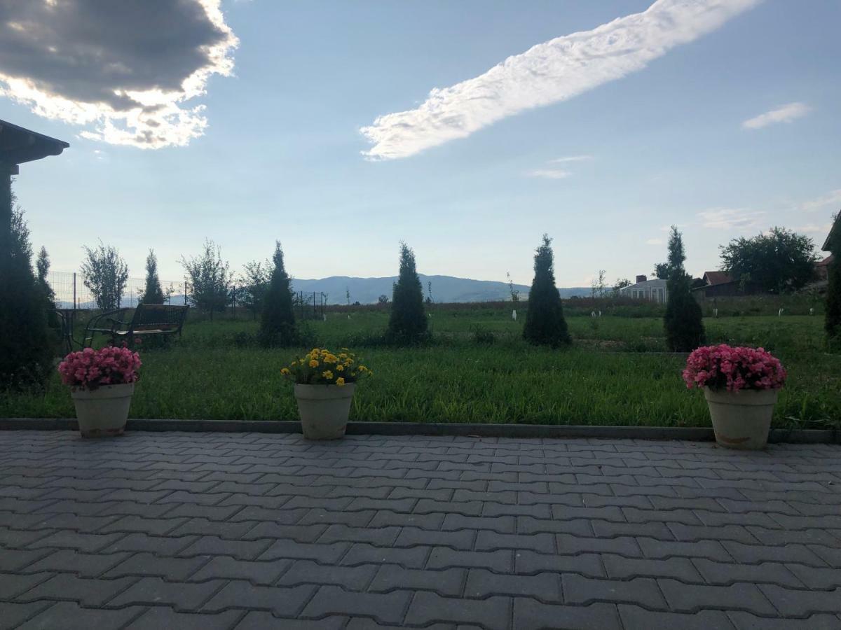 Absolut Residence Haţeg Εξωτερικό φωτογραφία